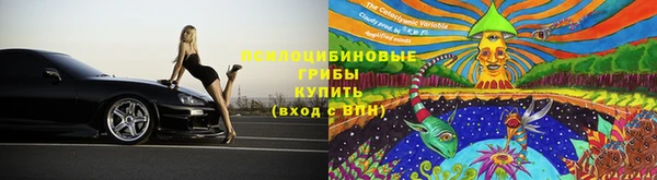стафф Балахна