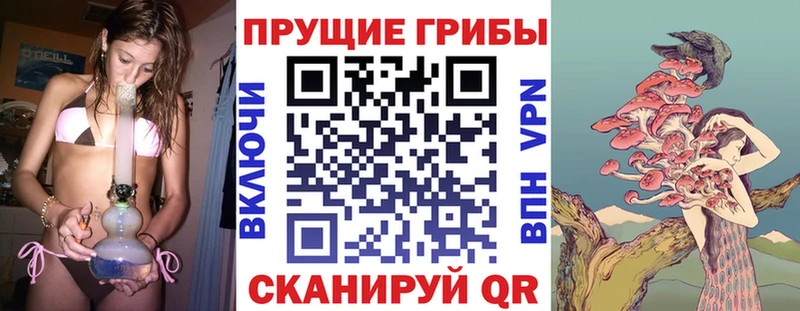 Псилоцибиновые грибы ЛСД Певек